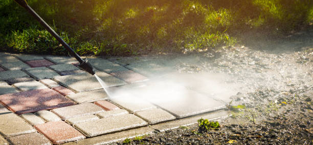 Best Oil Spill Cleanup  in San Carlos, AZ